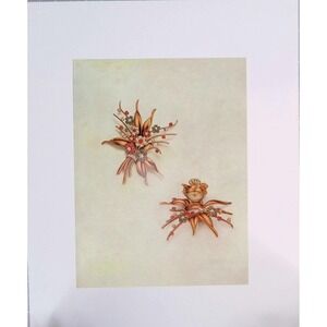 Vintage Rolex Ref 4281 Floral Bouquet Jewelry Watch Original Book Plate Wall Art